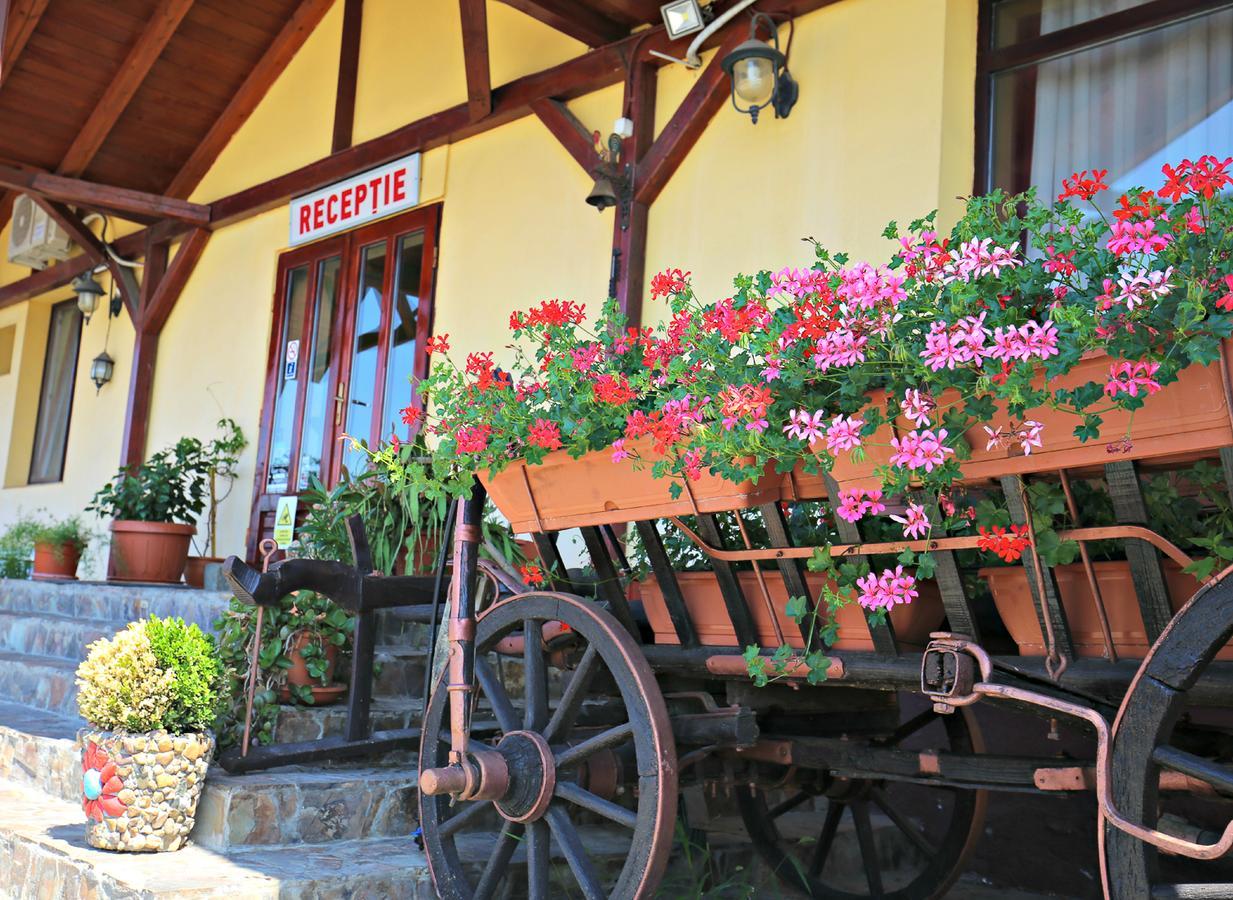 Pension Varadia Oradea Exterior foto